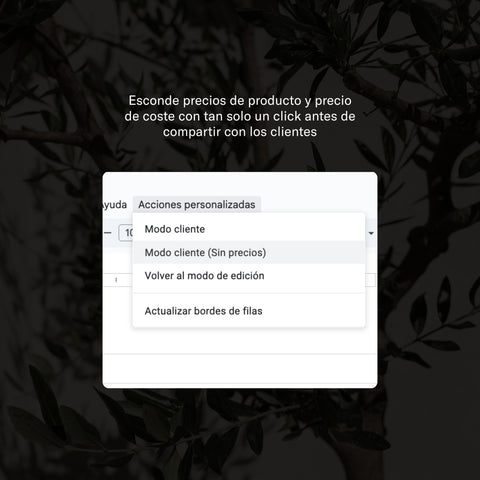 Libro de Especificaciones FFE